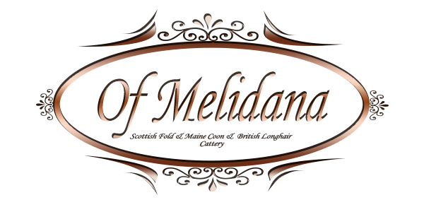 Cattery of Melidana